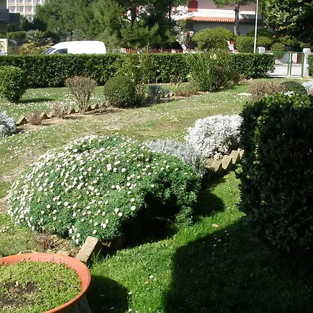 Oasi Mare 3* Numana
